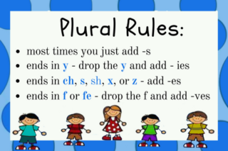 Plural Rules